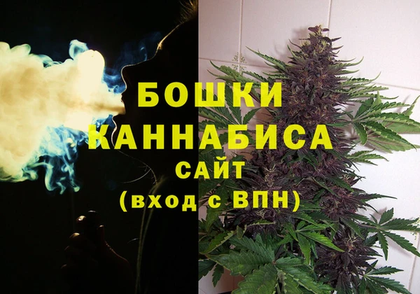 дмт Майский