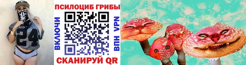 Псилоцибиновые грибы Psilocybine cubensis  Нижний Тагил 