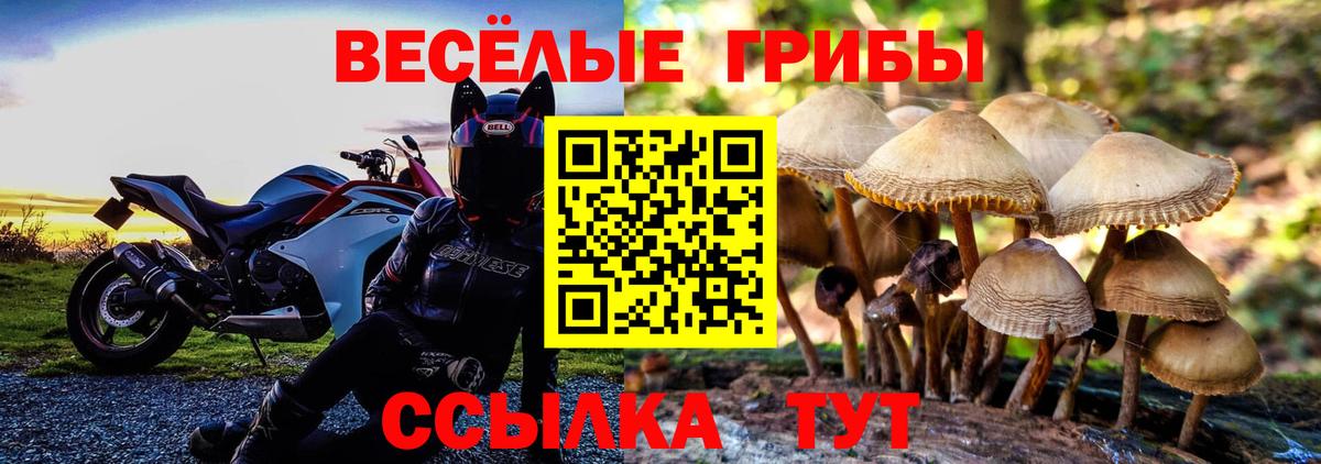 купить наркотик  Вход с VPN  Галлюциногенные грибы MAGIC MUSHROOMS  Нижний Тагил  Псилоцибиновые грибы ЛСД 