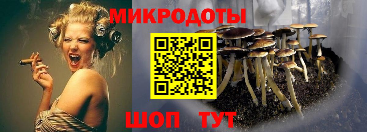 Галлюциногенные грибы MAGIC MUSHROOMS Нижний Тагил